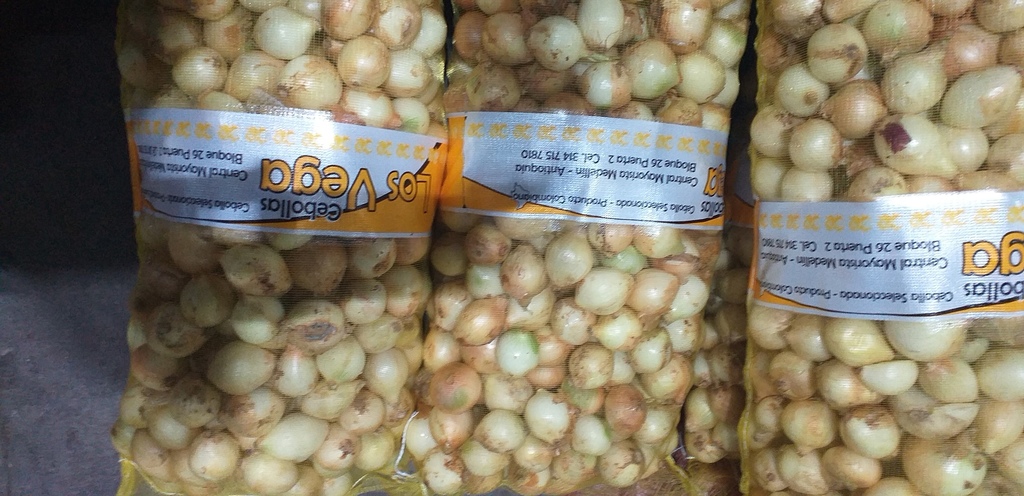 Cebolla blanca selecta *22kg