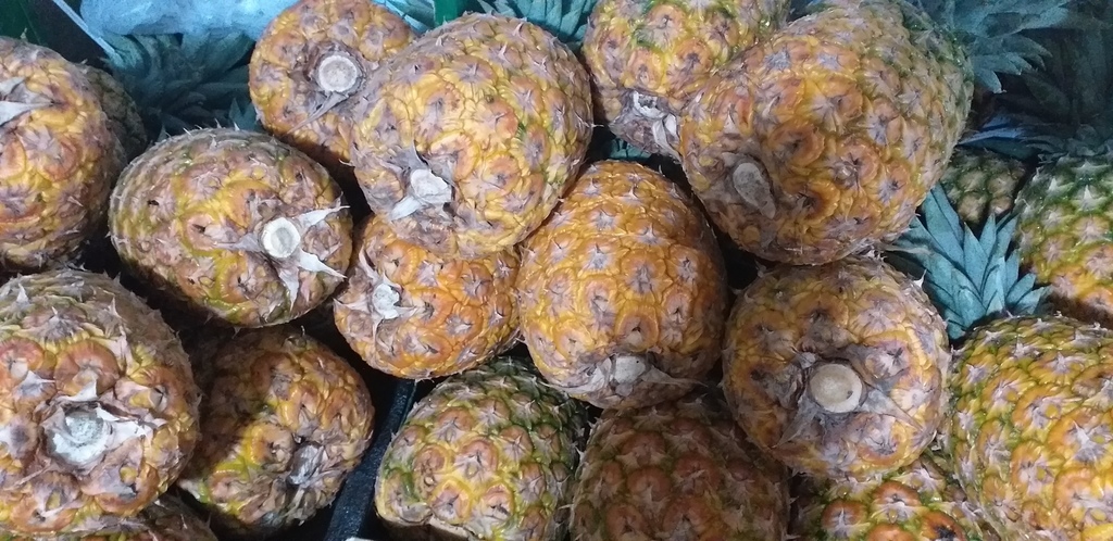 Piña oromiel