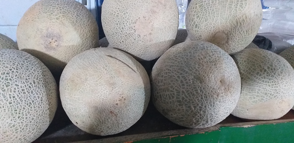 Melon