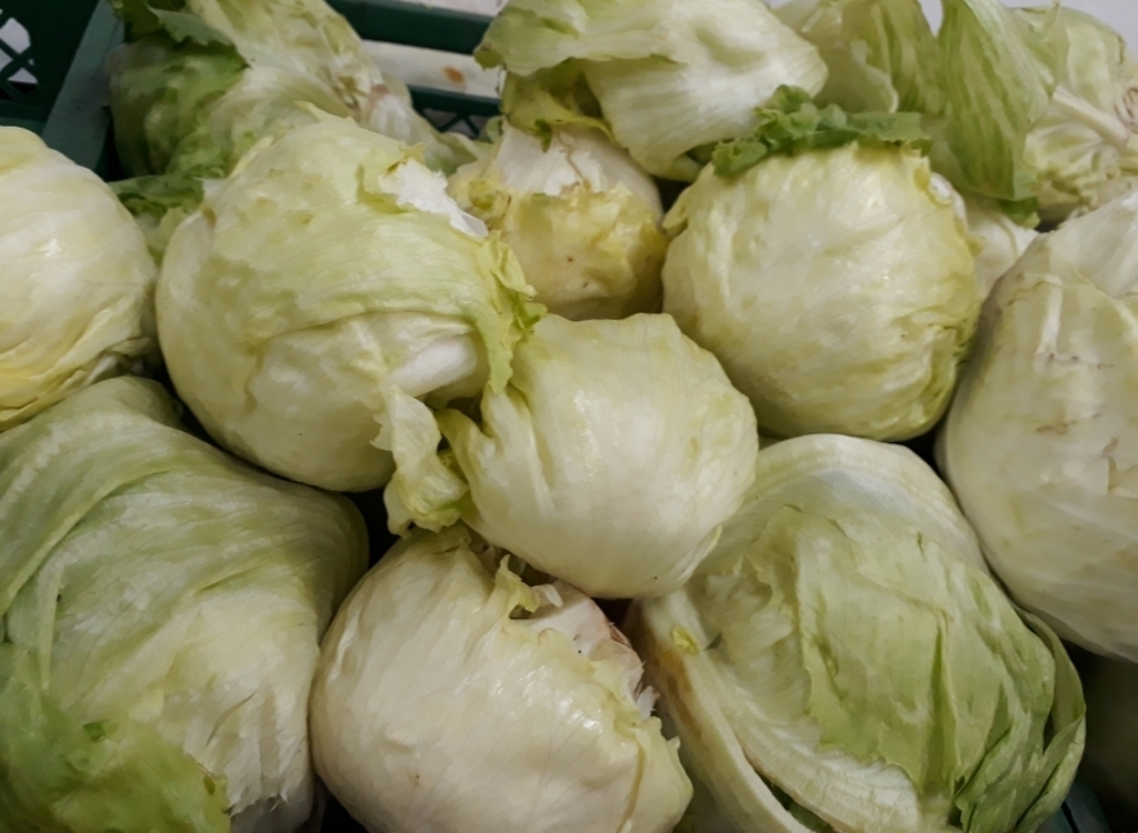 Lechuga