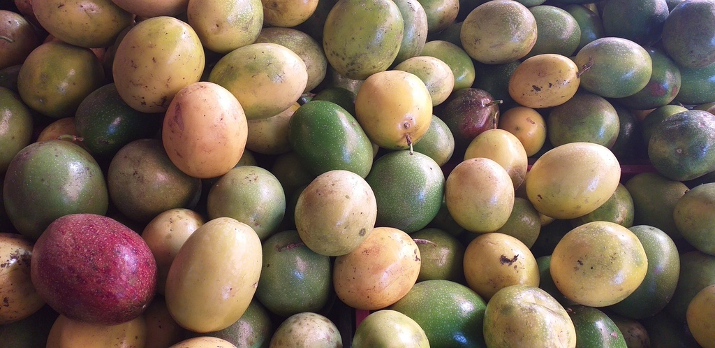 Maracuya