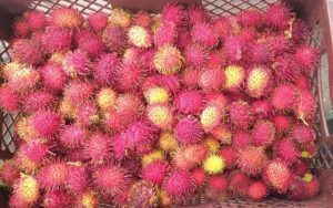 Rambutan