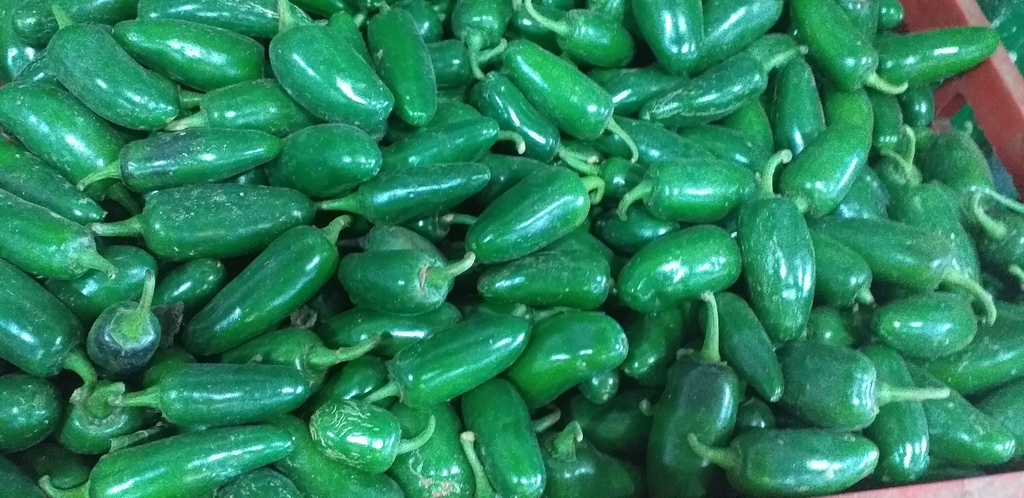 Jalapeño