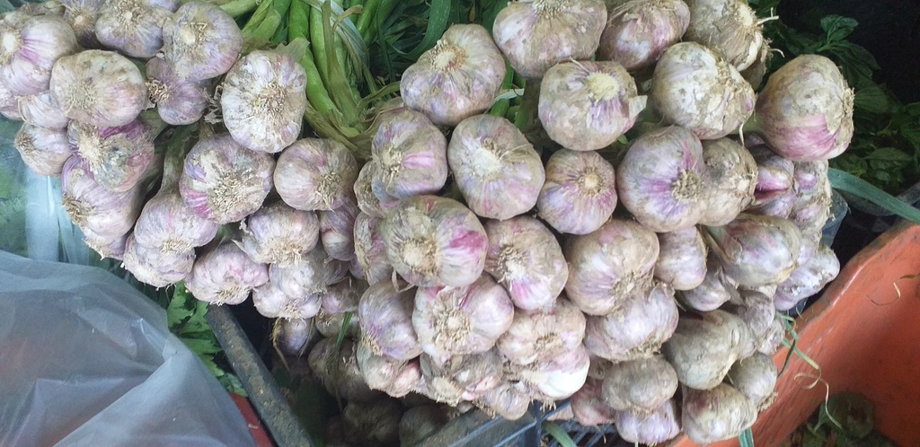 Ajo criollo *2kg