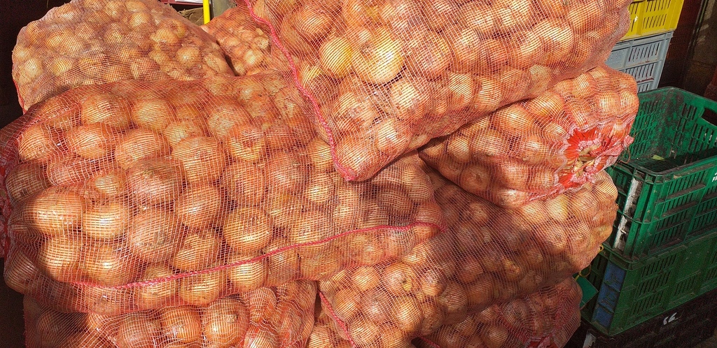 Cebolla de huevo blanca *45kg