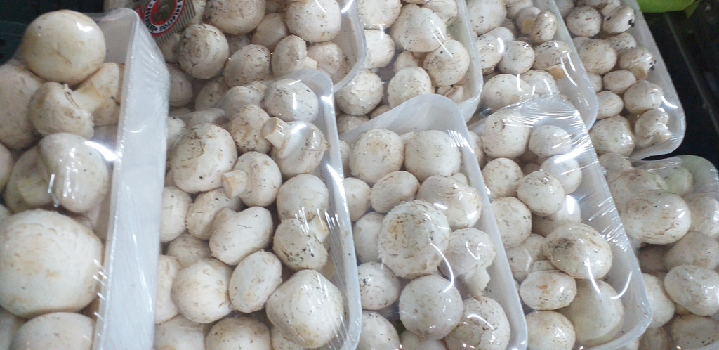 Champiñones