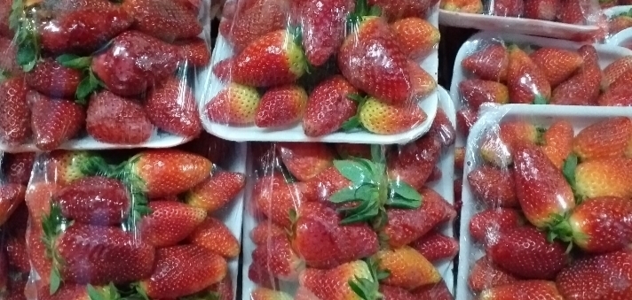 Fresa de 1ra en bandeja