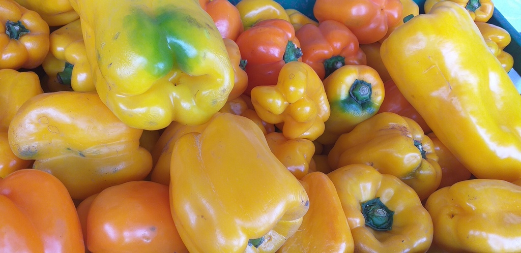 Pimenton amarillo