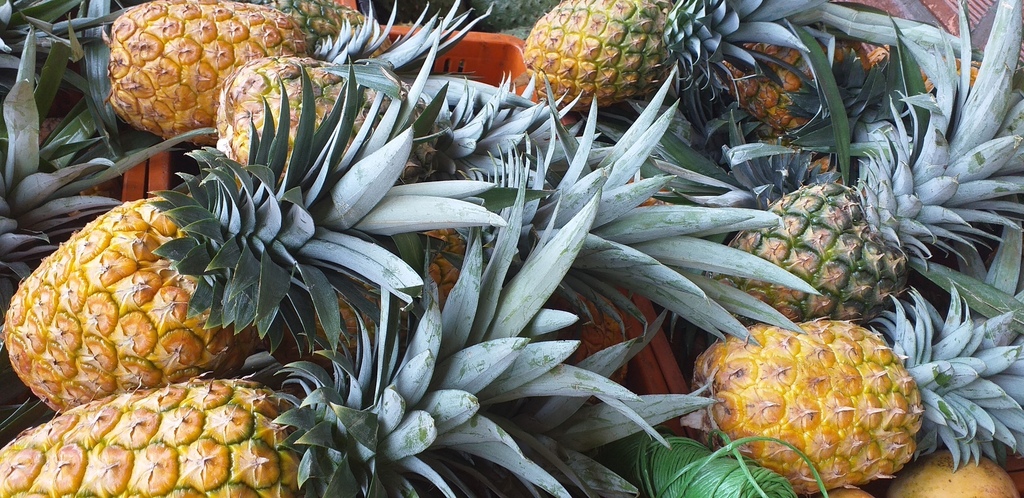 Piña oromiel