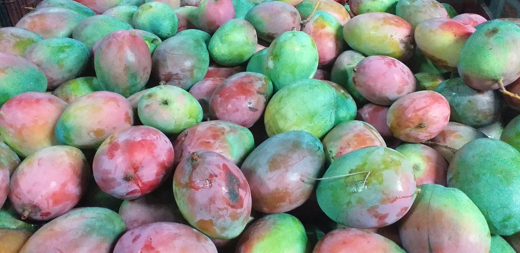 Mango farchi