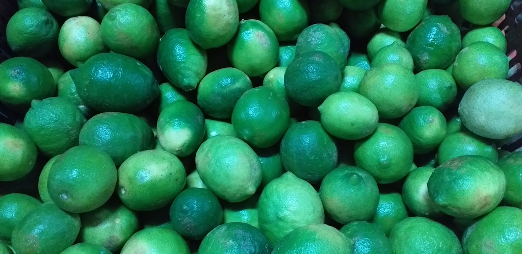 Limon tahiti