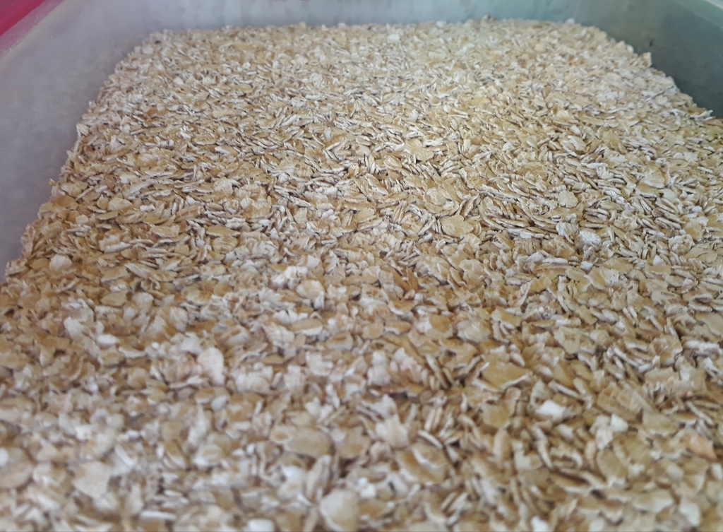 Avena en hojuela