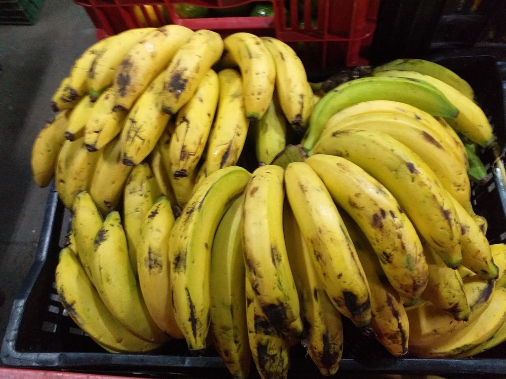 Banano