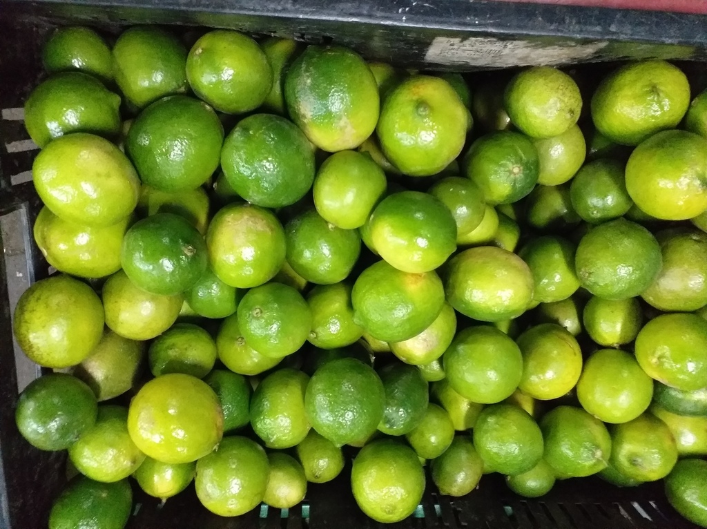 Limon tahiti