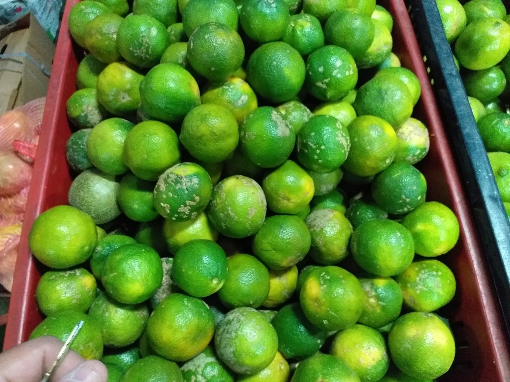 Limon mandarino
