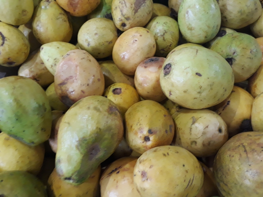Guayaba dulce