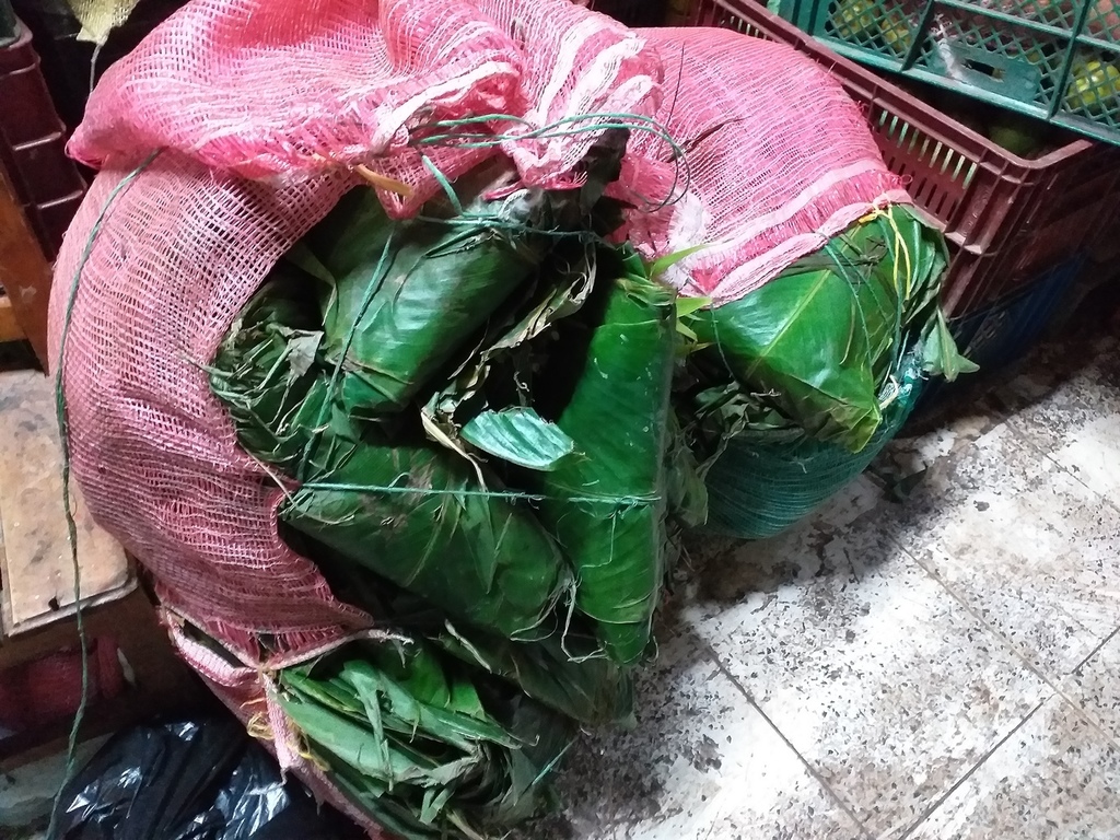 Hojas de vijao