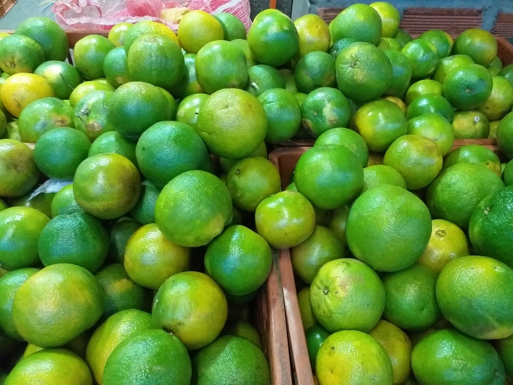 Naranja valencia de 1ra