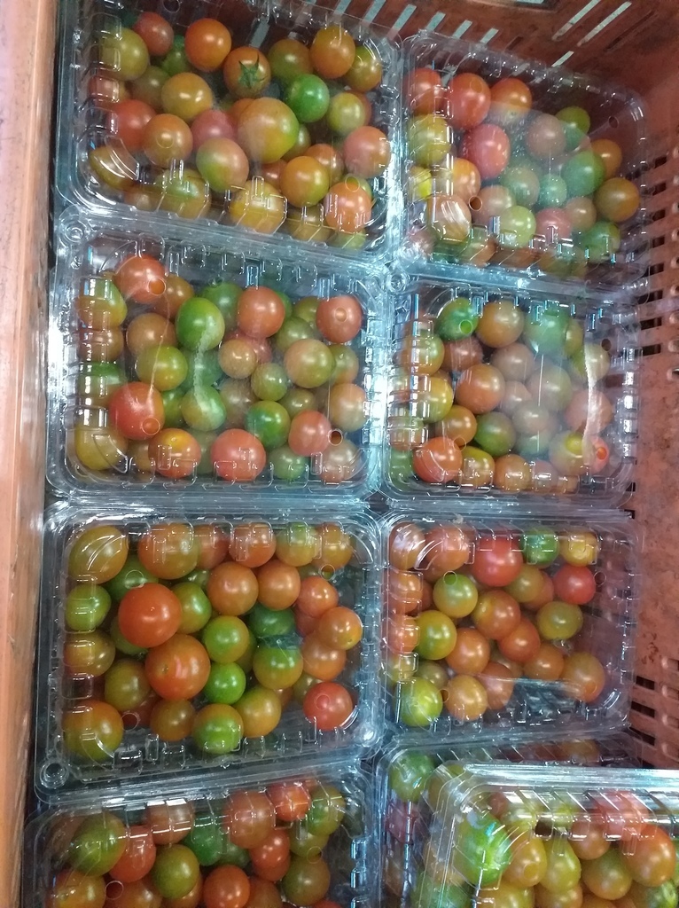Tomate cherry