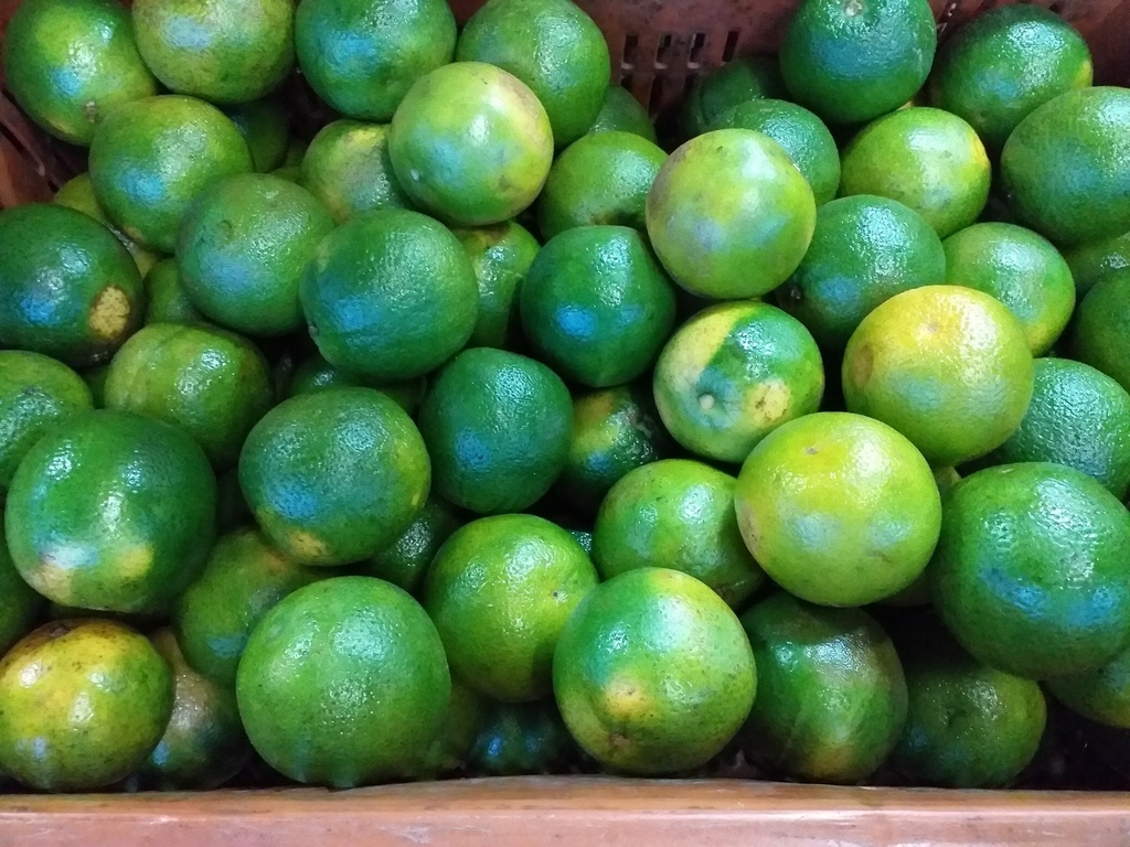 Naranja valencia de segunda