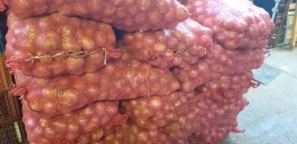 Cebolla roja ocañera *45kg