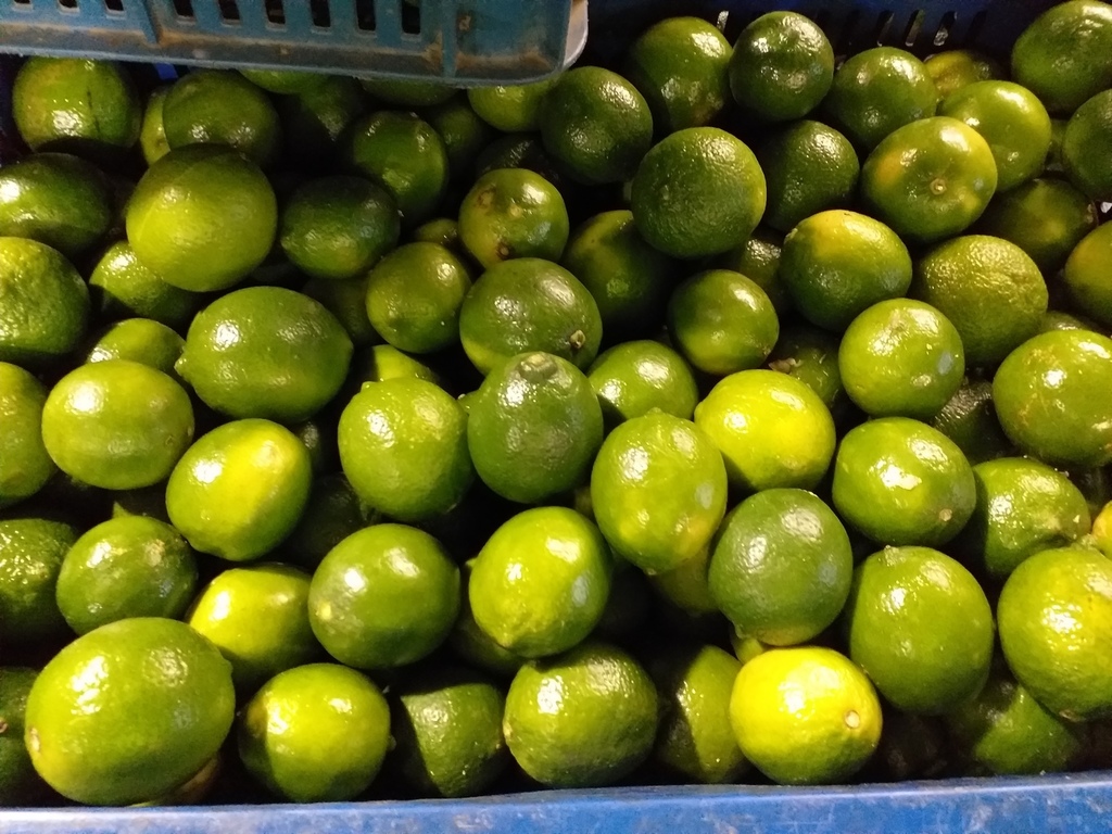 Limon tahiti