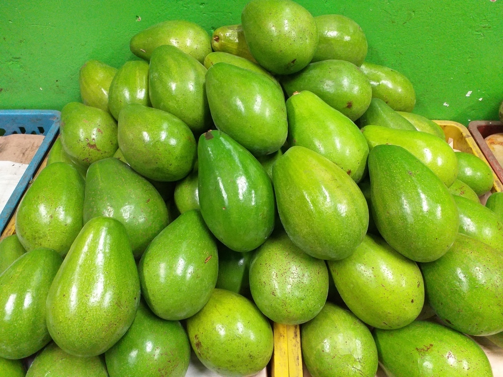 Aguacate ref papelillo
