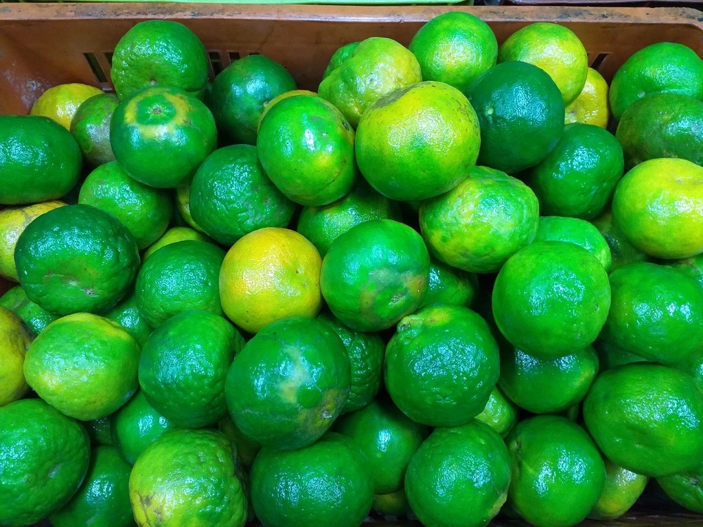 Mandarina oneca