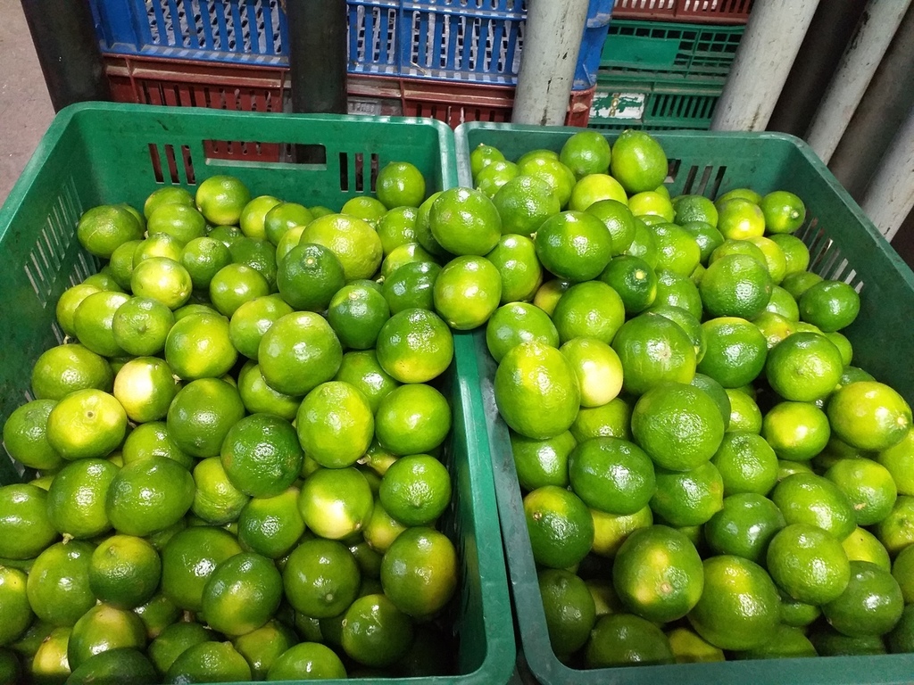 Limon tahiti