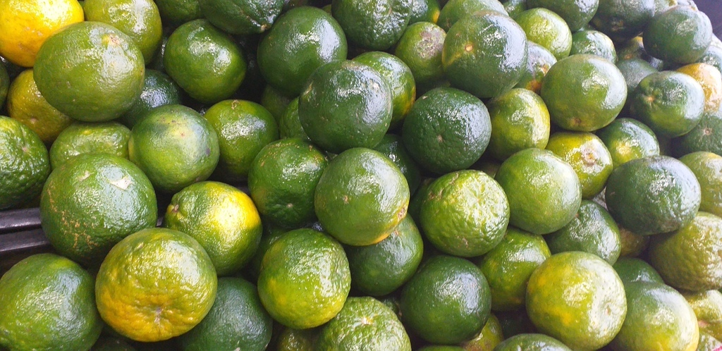Mandarina oneca de 2da