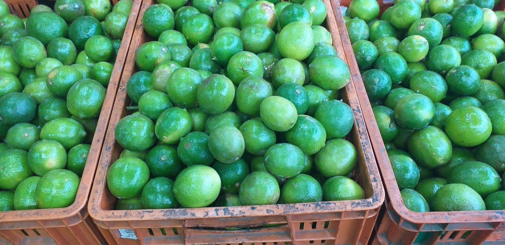 Limon tahiti
