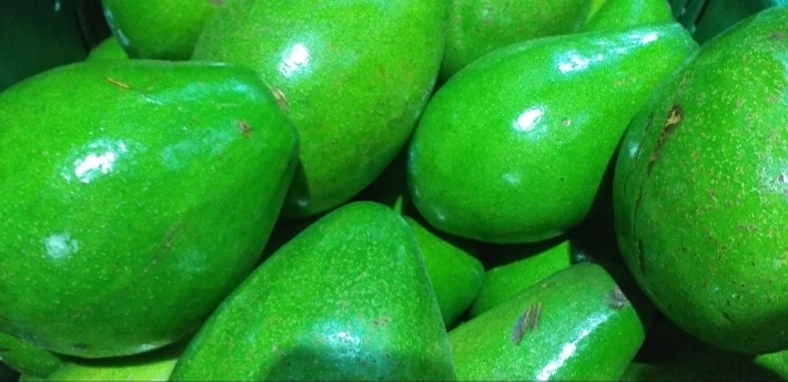 Aguacate papelillo verde