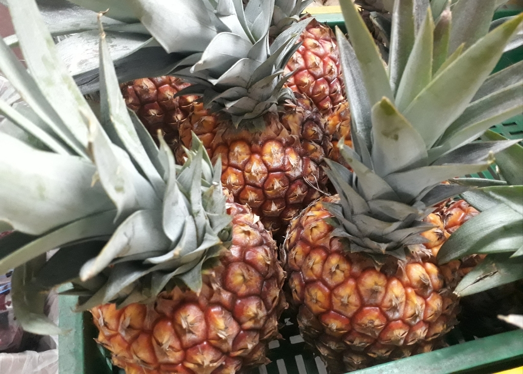 Piña oro miel