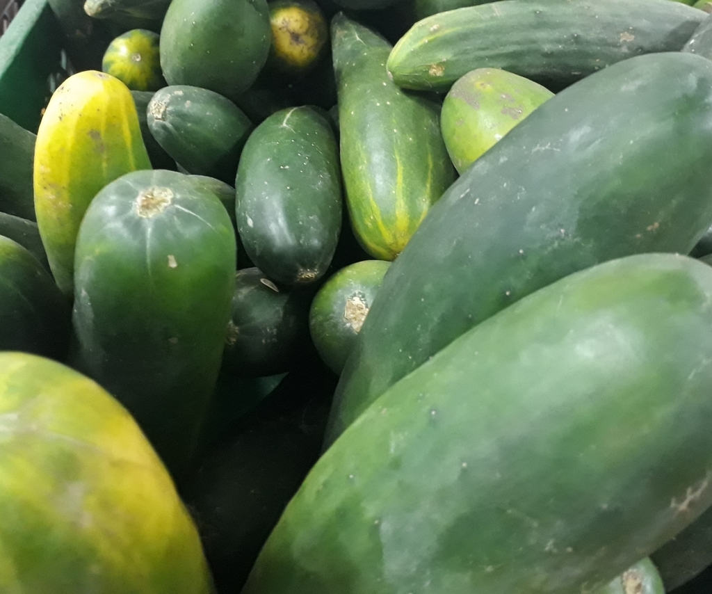 Piña oro miel
