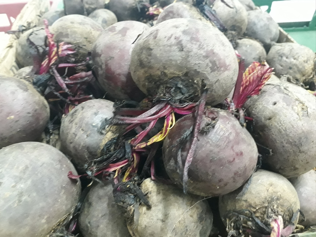 Piña oro miel