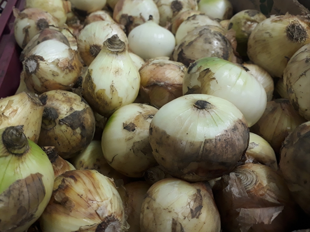 Piña oro miel