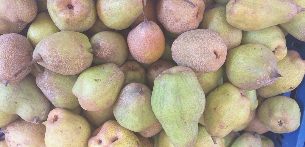 Pera criolla