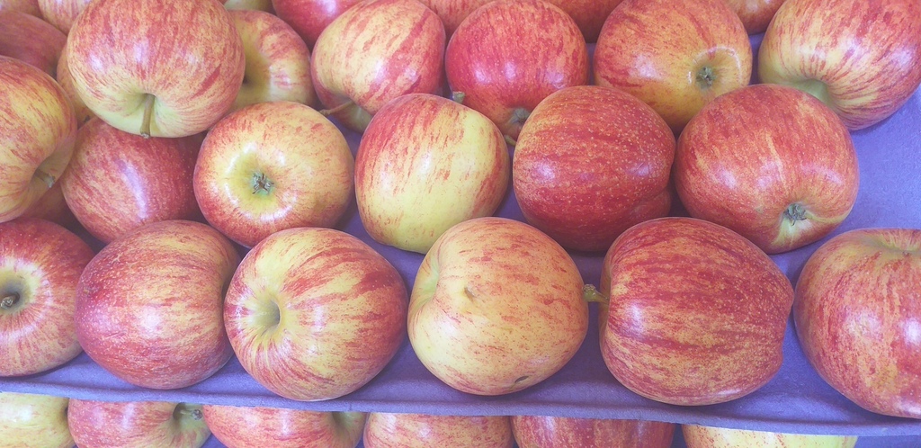 Manzana gala delgada