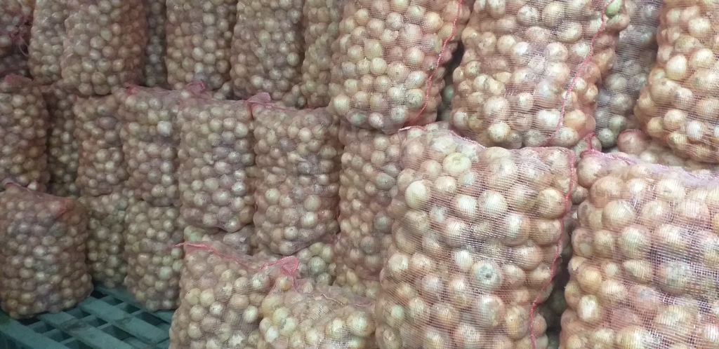 Cebolla blanca *50kg