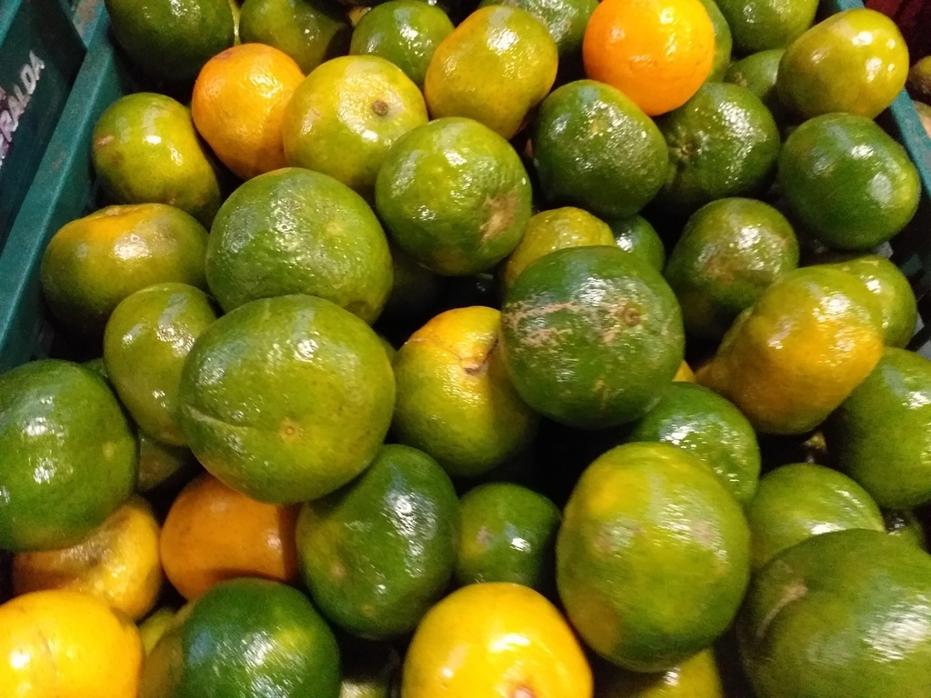 Mandarina