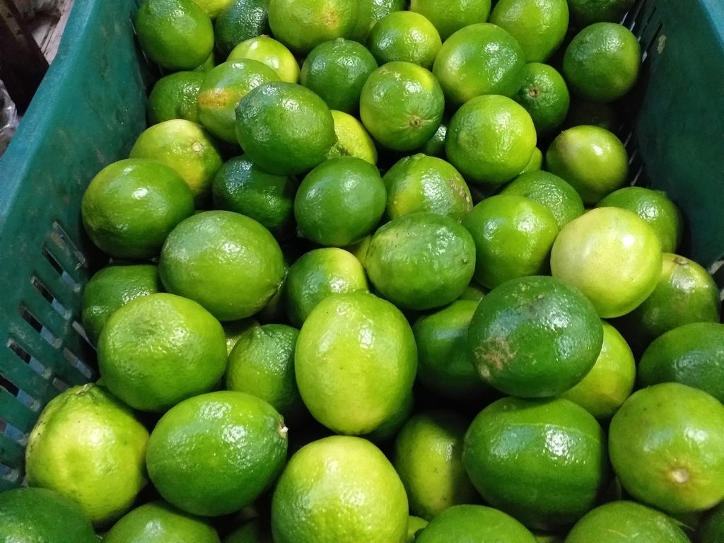 Limon tahiti