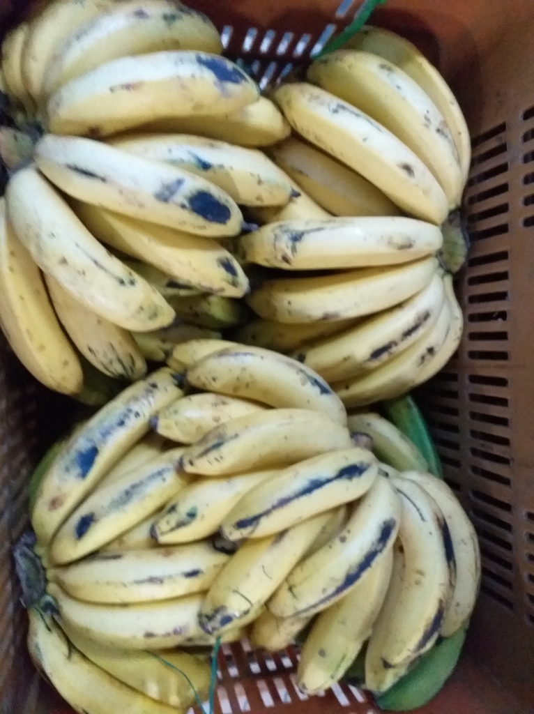 Banano