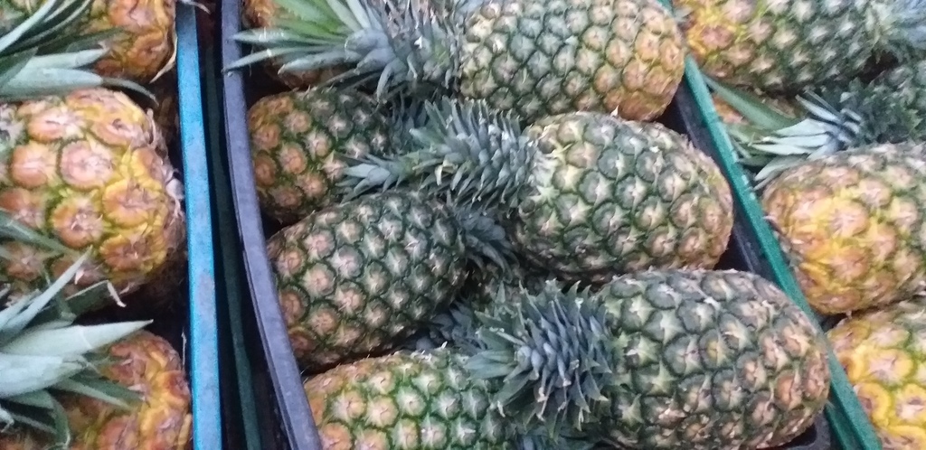 Piña oromiel