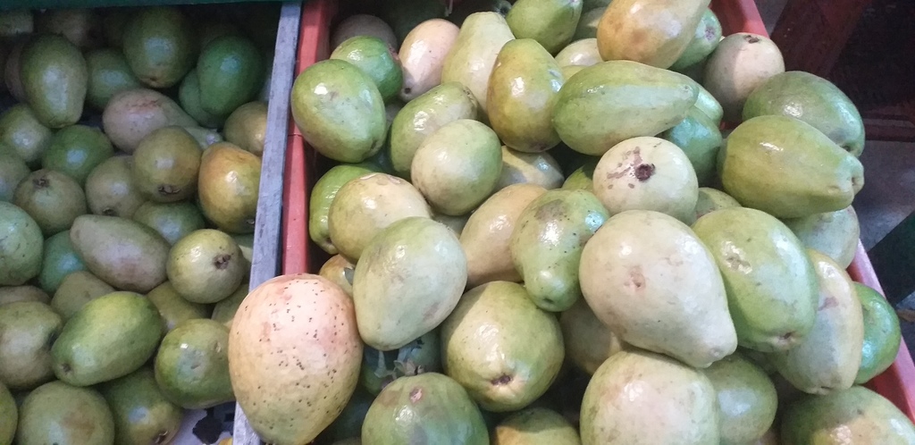 Guayaba pera