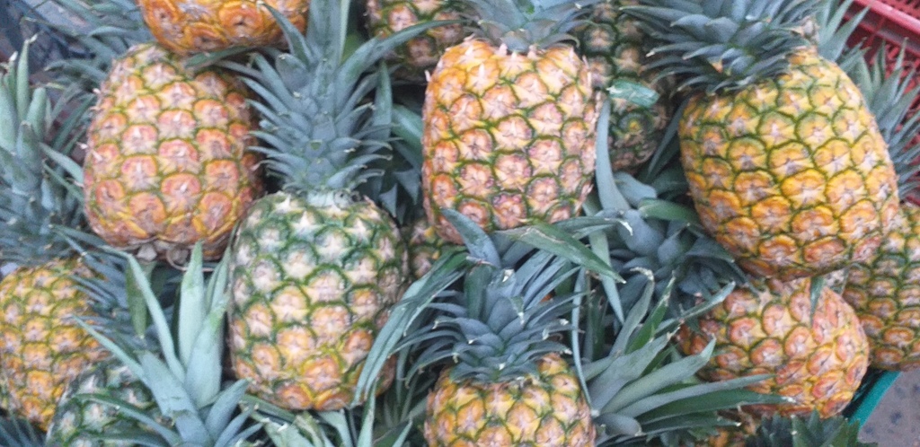 Piña oromiel