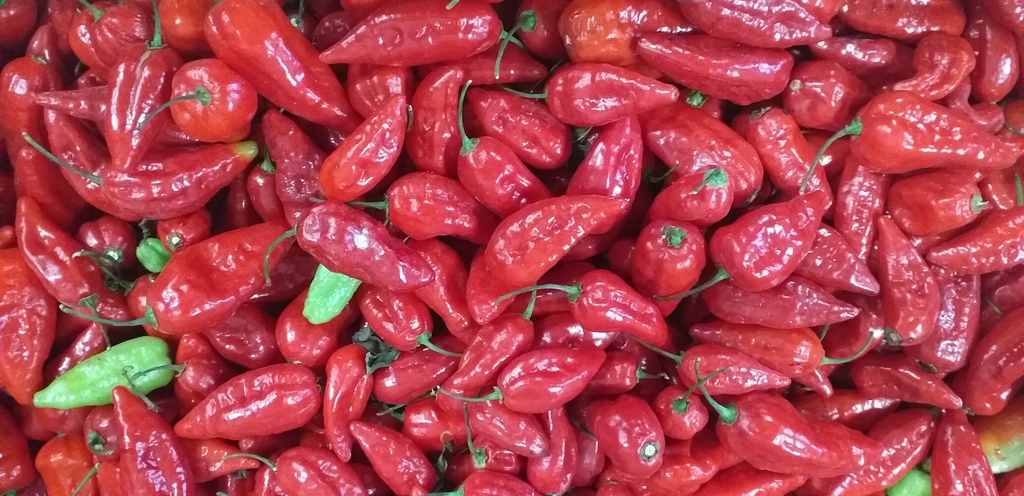 Aji dulce