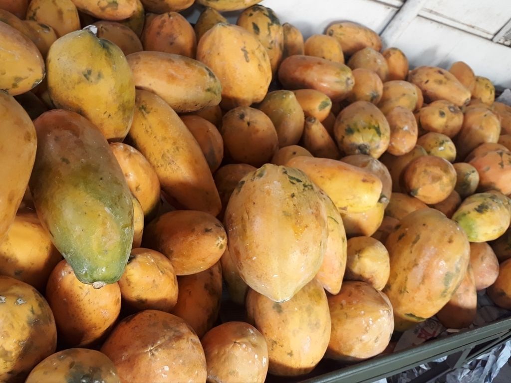 Papaya
