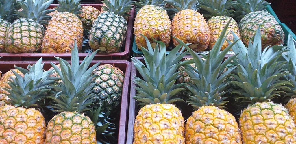 Piña oromiel