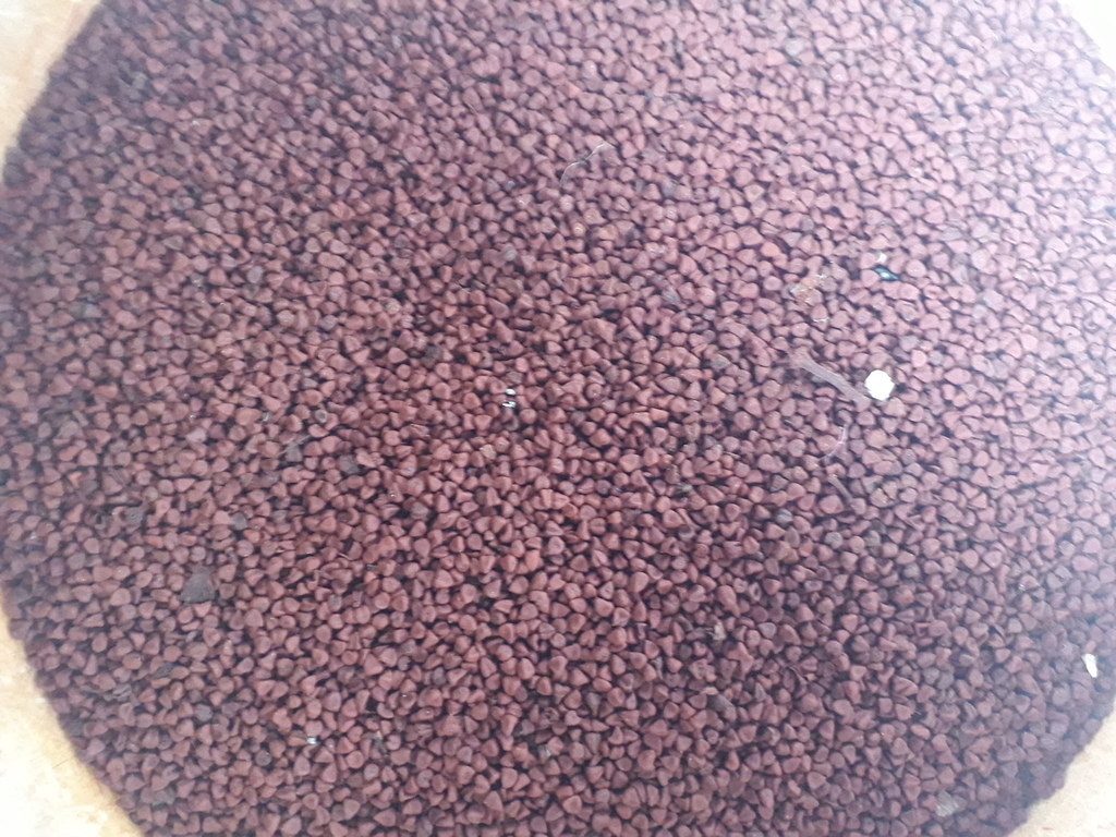 Achiote