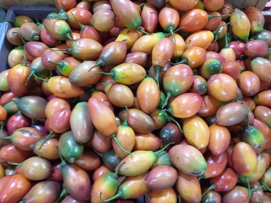 Tomate arbol delgado